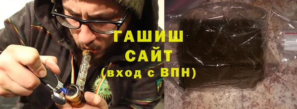 гидра Богородск