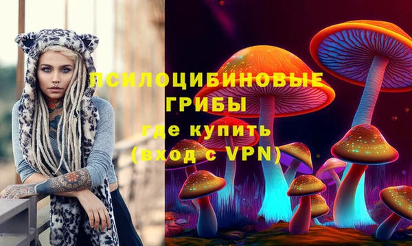 ALPHA PVP Богородицк