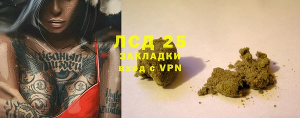 гидра Богородск