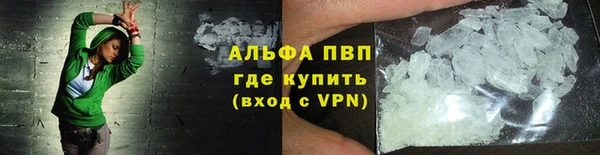 гидра Богородск