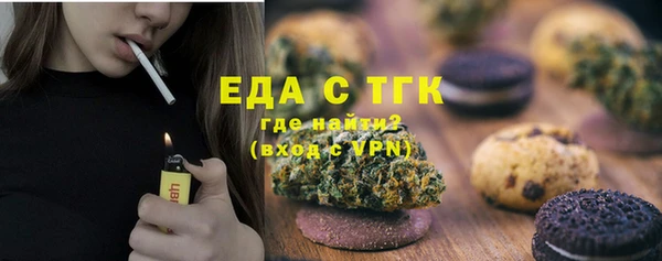 гидра Богородск