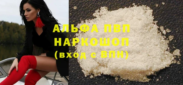 гидра Богородск
