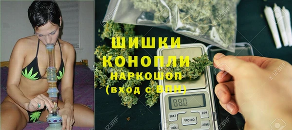гидра Богородск