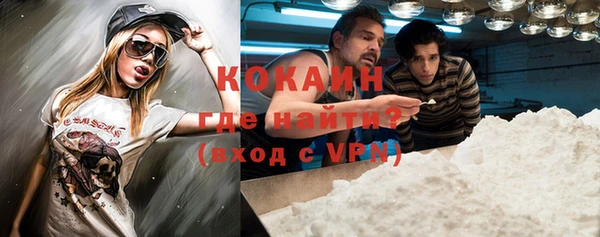 гидра Богородск