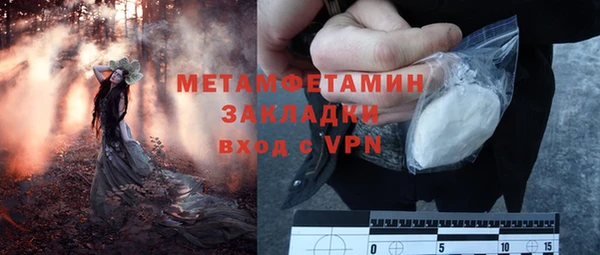 ALPHA PVP Богородицк