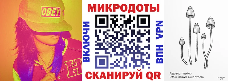 Псилоцибиновые грибы мухоморы  даркнет сайт  Конаково 